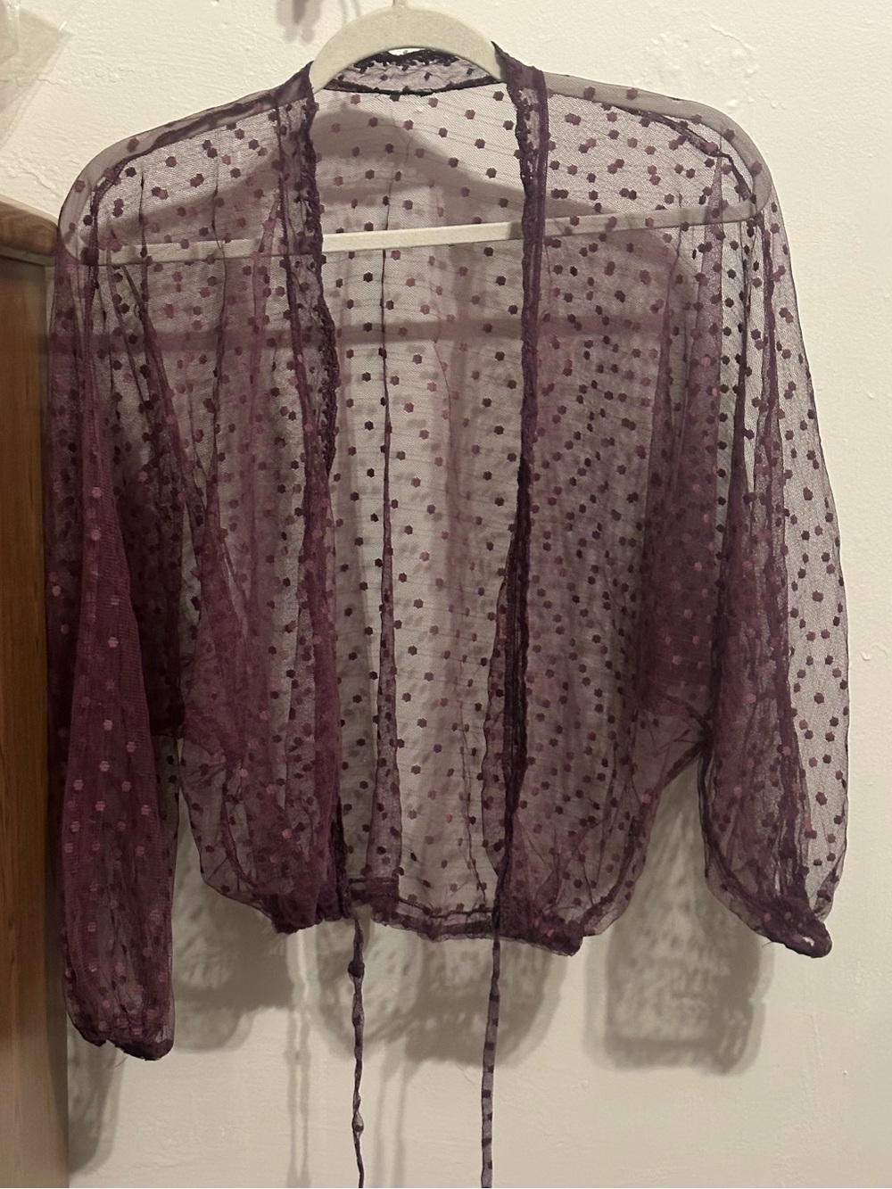 Sheer Polka Dot Tie-Front Top in Plum